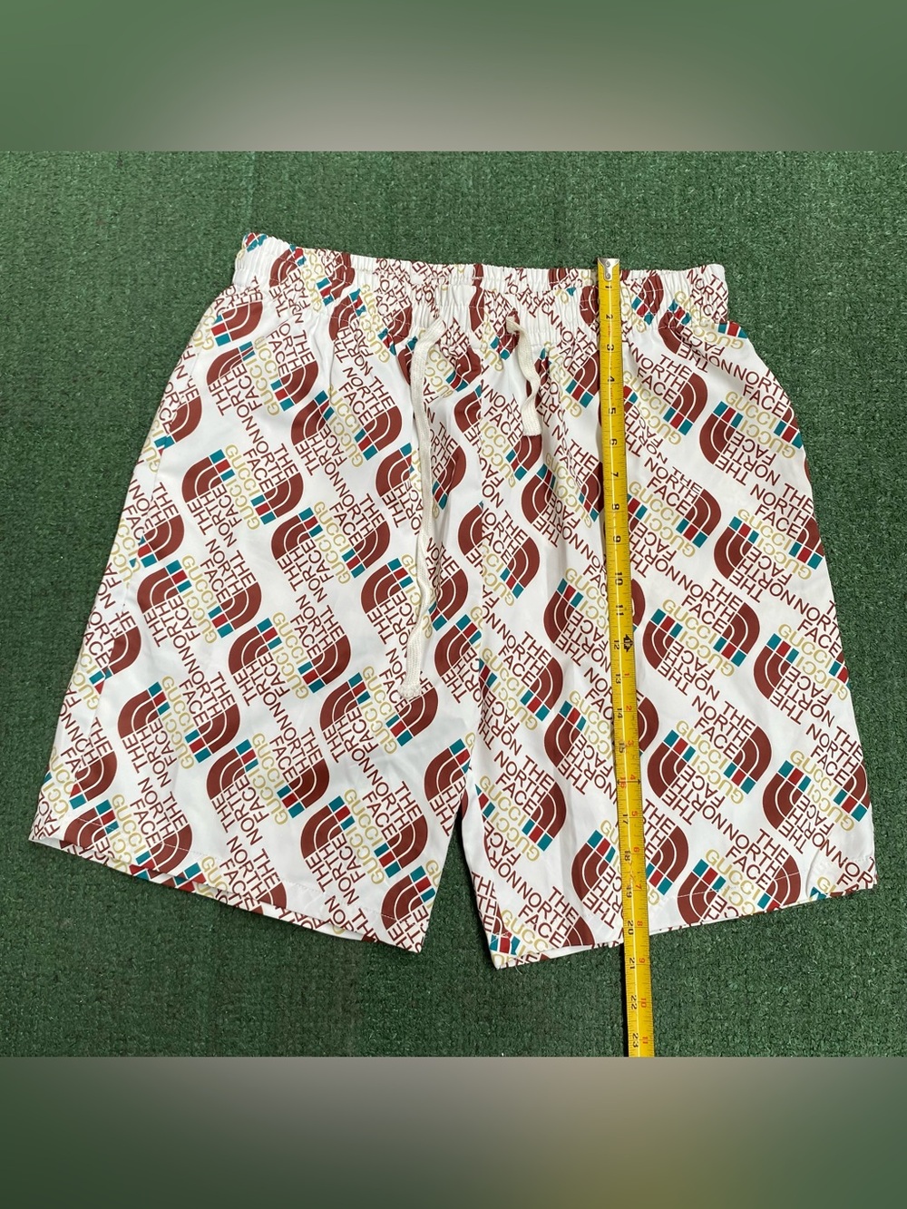 The north face shorts